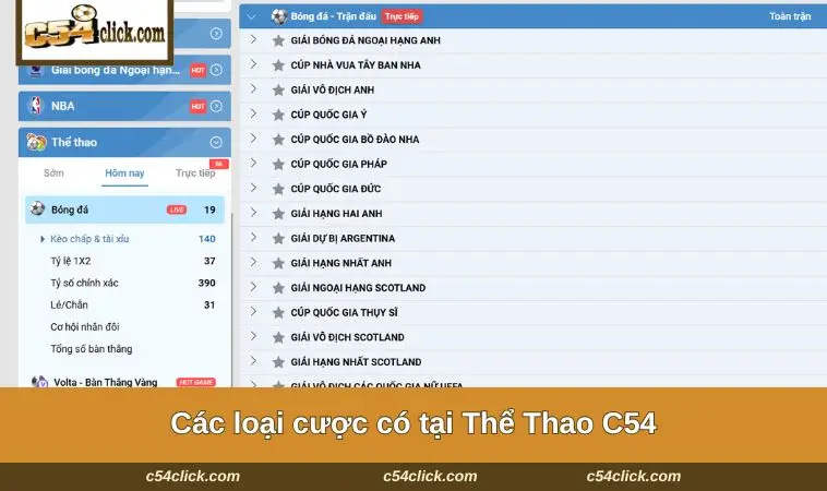 cac loai cuoc co tai the thao c54 Các loại cược tại sảnh game